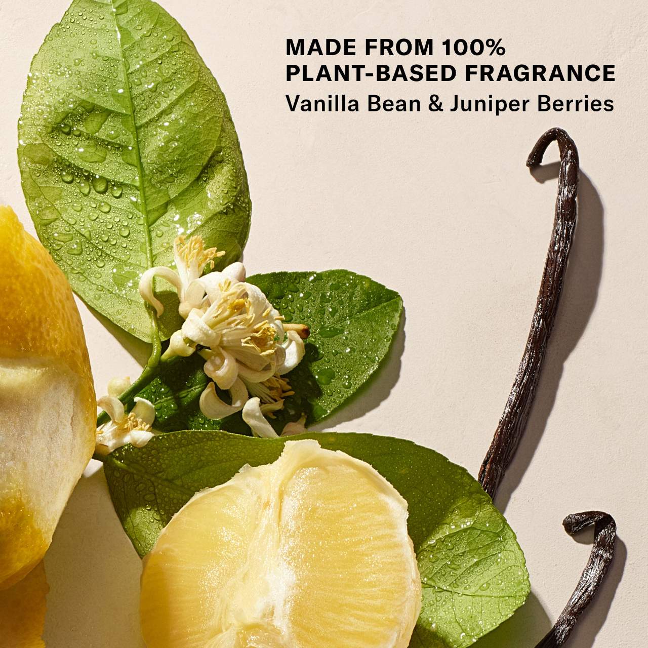Josie Maran-Mini Vanilla Vibezzz - Whipped Argan Oil Refillable Firming Body Butter *preorden*